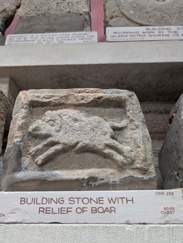 Building stone with relief of boar (an emblem of Roman legion, Legio XX).