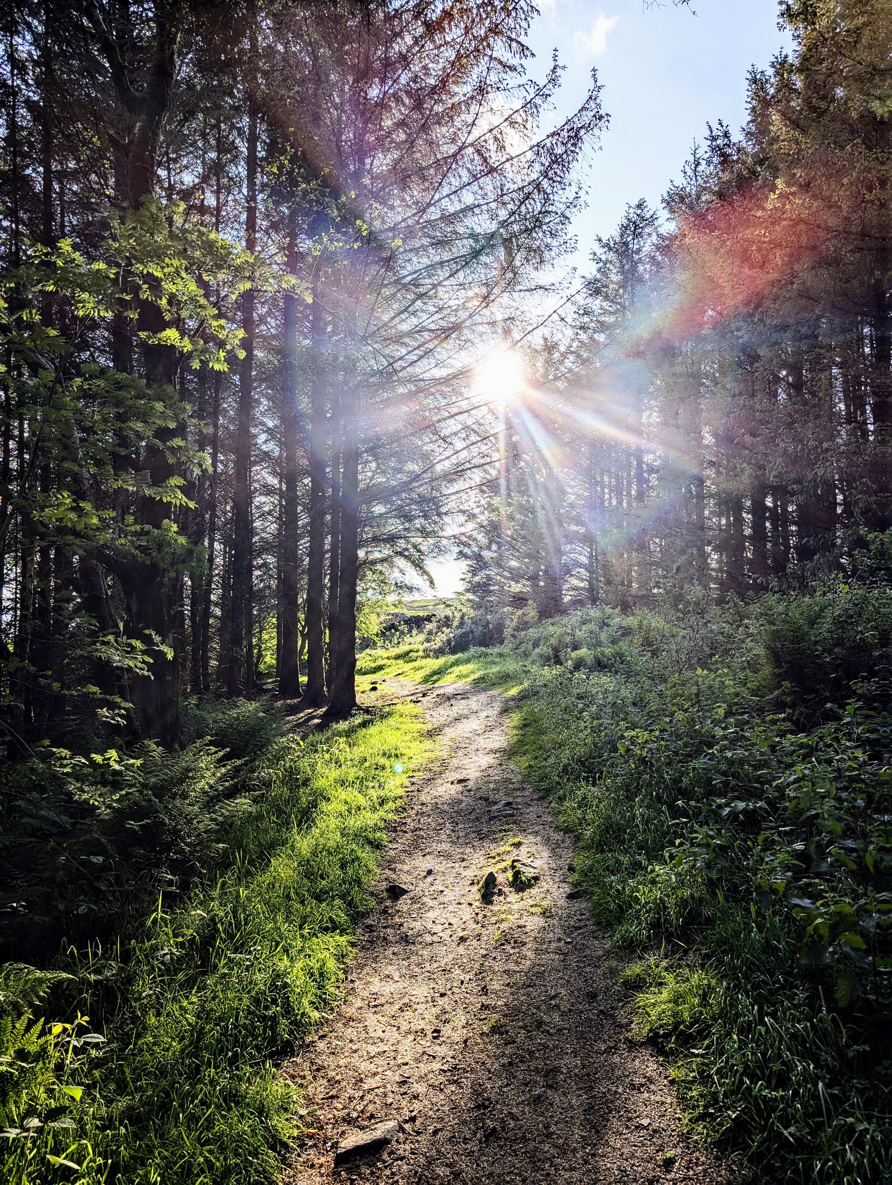 Hadrian's Wall photography